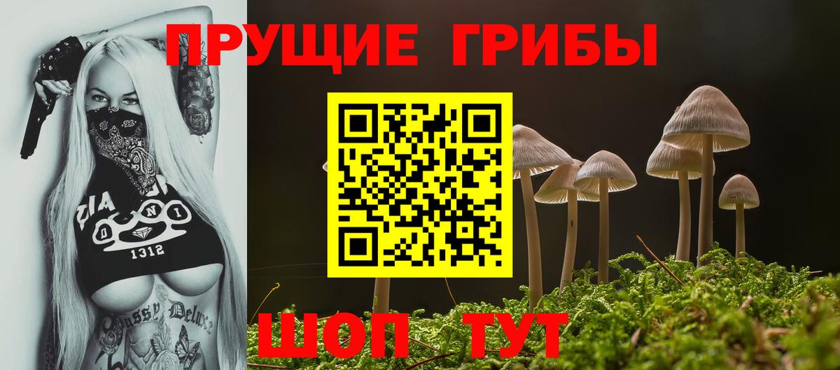 Большой Камень  Псилоцибиновые грибы мицелий  Галлюциногенные грибы GOLDEN TEACHER  продажа наркотиков  Вход с VPN 