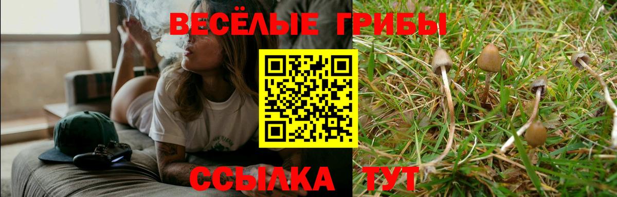 Псилоцибиновые грибы MAGIC MUSHROOMS Большой Камень